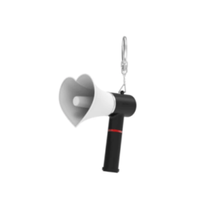 The BOYZ Official Lightstick keychain